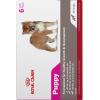 imageRoyal Canin Canine Health Nutrition Puppy Canned Dog Food 135 oz can 6packChicken