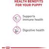 imageRoyal Canin Canine Health Nutrition Puppy Canned Dog Food 135 oz can 6packChicken