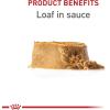 imageRoyal Canin Canine Health Nutrition Puppy Canned Dog Food 135 oz can 6packChicken