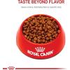 imageRoyal Canin Cavalier King Charles Puppy Dry Dog Food 3 lb bag