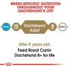 imageRoyal Canin Dachshund Adult Breed Specific Dry Dog Food 25 lb bag10 Pound Pack of 1