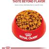 imageRoyal Canin Dachshund Adult Breed Specific Dry Dog Food 25 lb bag3 Pound Pack of 1