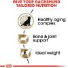 imageRoyal Canin Dachshund Adult Breed Specific Dry Dog Food 25 lb bag3 Pound Pack of 1