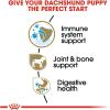 imageRoyal Canin Dachshund Puppy Breed Specific Dry Dog Food 25 lb bagChicken