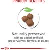 imageRoyal Canin Giant Junior Dry Puppy Food 30 lb bag