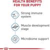 imageRoyal Canin Giant Junior Dry Puppy Food 30 lb bag