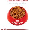 imageRoyal Canin Jack Russell Terrier Puppy Dry Dog Food 3 lb bagAdult