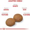 imageRoyal Canin Large Adult 5 Dry Dog Food for Older Dogs 30 lb bag30 Pound Pack of 1