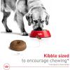imageRoyal Canin Large Aging 8 Senior Dry Dog Food 30 lb bag30 Pound Pack of 1