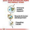 imageRoyal Canin Rottweiler Puppy Breed Specific Dry Dog Food 30 lb bagChicken