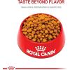 imageRoyal Canin Size Health Nutrition Giant Puppy Dry Dog Food extralarge Breed Puppy Food Supports Brain Development Immune System and Digestive Health 30 lb Bag