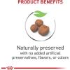 imageRoyal Canin Size Health Nutrition Giant Puppy Dry Dog Food extralarge Breed Puppy Food Supports Brain Development Immune System and Digestive Health 30 lb Bag