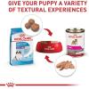 imageRoyal Canin Size Health Nutrition Giant Puppy Dry Dog Food extralarge Breed Puppy Food Supports Brain Development Immune System and Digestive Health 30 lb Bag