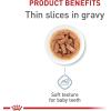 imageRoyal Canin Size Health Nutrition Large Puppy Dry Dog Food 35 lb bag13 Ounce Pack of 12