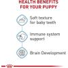 imageRoyal Canin Size Health Nutrition Large Puppy Dry Dog Food 35 lb bag13 Ounce Pack of 6