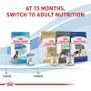 imageRoyal Canin Size Health Nutrition Large Puppy Dry Dog Food 35 lb bag13 Ounce Pack of 6