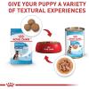 imageRoyal Canin Size Health Nutrition Large Puppy Dry Dog Food 35 lb bag13 Ounce Pack of 6