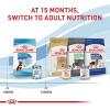 imageRoyal Canin Size Health Nutrition Large Puppy Dry Dog Food 35 lb bag17 Pound Pack of 1