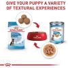 imageRoyal Canin Size Health Nutrition Large Puppy Dry Dog Food 35 lb bag4 Pound Pack of 1