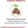 imageRoyal Canin Size Health Nutrition Large Puppy Dry Dog Food 35 lb bag4 Pound Pack of 1