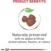 imageRoyal Canin Size Health Nutrition Small Indoor Puppy Dry Dog Food 25 lb bagChicken