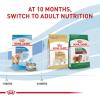 imageRoyal Canin Size Health Nutrition Small Indoor Puppy Dry Dog Food 25 lb bagChicken