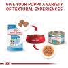 imageRoyal Canin Size Health Nutrition Small Puppy Dry Dog Food 25 lb bag30 Pound Pack of 1