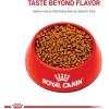 imageRoyal Canin Size Health Nutrition Small Starter Mother ampamp Babydog Dry Dog Food 2 lb bag14 Pound Pack of 1