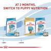 imageRoyal Canin Size Health Nutrition Small Starter Mother ampamp Babydog Dry Dog Food 2 lb bag14 Pound Pack of 1