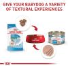 imageRoyal Canin Size Health Nutrition Small Starter Mother ampamp Babydog Dry Dog Food 2 lb bag14 Pound Pack of 1