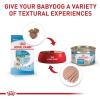 imageRoyal Canin Size Health Nutrition Small Starter Mother ampamp Babydog Dry Dog Food 2 lb bag25 Pound Pack of 1