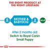 imageRoyal Canin Size Health Nutrition Small Starter Mother ampamp Babydog Dry Dog Food 2 lb bag32 Fl Oz Pack of 1