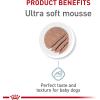 imageRoyal Canin Size Health Nutrition Small Starter Mother ampamp Babydog Dry Dog Food 2 lb bag51 Ounce Pack of 24