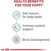 imageRoyal Canin Size Health Nutrition Small Starter Mother ampamp Babydog Dry Dog Food 2 lb bag51 Ounce Pack of 24