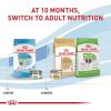 imageRoyal Canin Size Health Nutrition XSmall Puppy Dry Dog Food 14 lb bagChicken