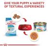 imageRoyal Canin Size Health Nutrition XSmall Puppy Dry Dog Food 14 lb bagChicken