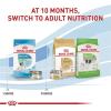 imageRoyal Canin Size Health Nutrition XSmall Puppy Dry Dog Food 14 lb bagChickenVegetable