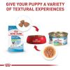 imageRoyal Canin Size Health Nutrition XSmall Puppy Dry Dog Food 14 lb bagChickenVegetable
