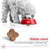 imageRoyal Canin Small Adult 8 Dry Dog Food 13 lb bagChicken