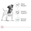 imageRoyal Canin Small Adult 8 Dry Dog Food 13 lb bagChicken