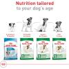 imageRoyal Canin Small Adult 8 Dry Dog Food 13 lb bagChicken