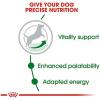 imageRoyal Canin Small Adult 8 Dry Dog Food 13 lb bagChicken