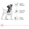 imageRoyal Canin Small Aging 12 Dry Dog Food 25 lb bag12 Pound Pack of 1