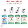 imageRoyal Canin Small Aging 12 Dry Dog Food 25 lb bag12 Pound Pack of 1