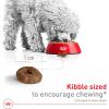 imageRoyal Canin Small Aging 12 Dry Dog Food 25 lb bag25 Pound Pack of 1