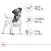 imageRoyal Canin Small Aging 12 Dry Dog Food 25 lb bag25 Pound Pack of 1