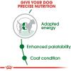 imageRoyal Canin Small Breed Adult Dry Dog Food 14 lb bag14 Pound Pack of 1