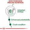 imageRoyal Canin Small Breed Adult Dry Dog Food 14 lb bag25 Pound Pack of 1