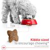 imageRoyal Canin Small Breed Adult Dry Dog Food 14 lb bag30 Pound Pack of 1