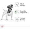 imageRoyal Canin Small Breed Adult Dry Dog Food 14 lb bag4 Pound Pack of 1